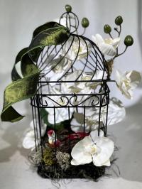 orchid cage