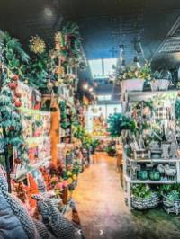 Inside Lilygrass flowers and decor Store  